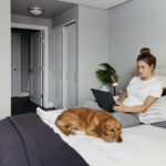 home render thumbnail