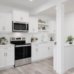 home render thumbnail