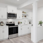 home render thumbnail